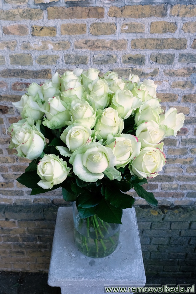 Bloemen bezorgen - Witte rozen